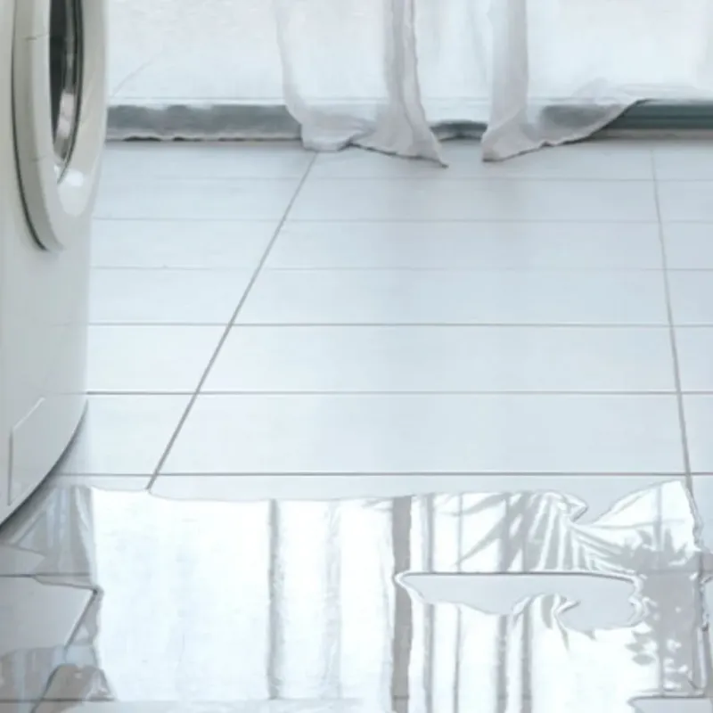 Appliance Leak Cleanup in Cairo, GA